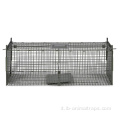 Cage di animali vivi per animali domestici di piccole dimensioni interni